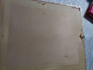 Acuarela de pez enmarcada