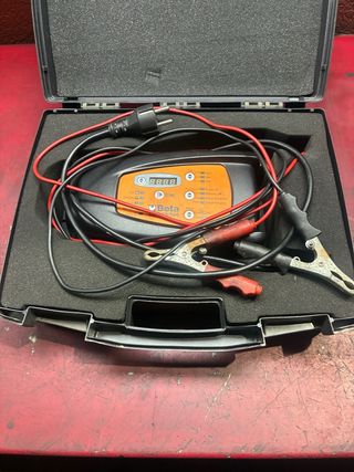 Cargador Baterías Beta 300