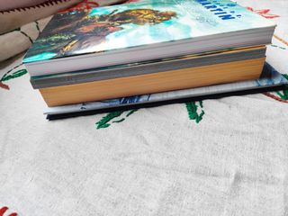 Lote Libros George R. Martin. Caballero Reinos..
