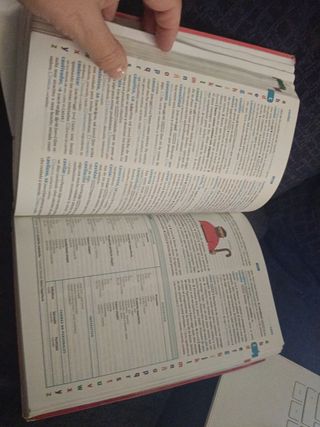 Diccionario Básico Primaria. Lengua española