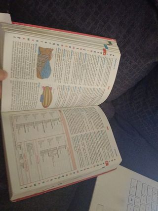 Diccionario Básico Primaria. Lengua española