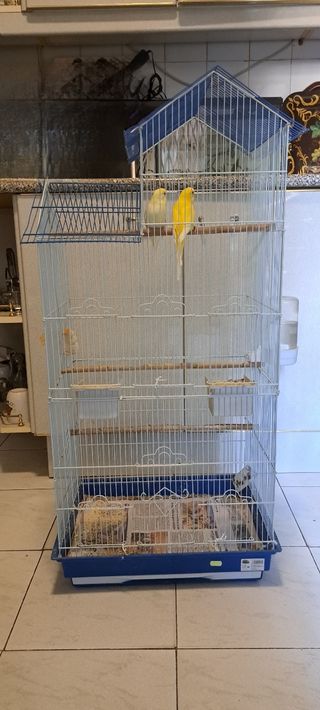 Jaula para pájaros blanca y azul