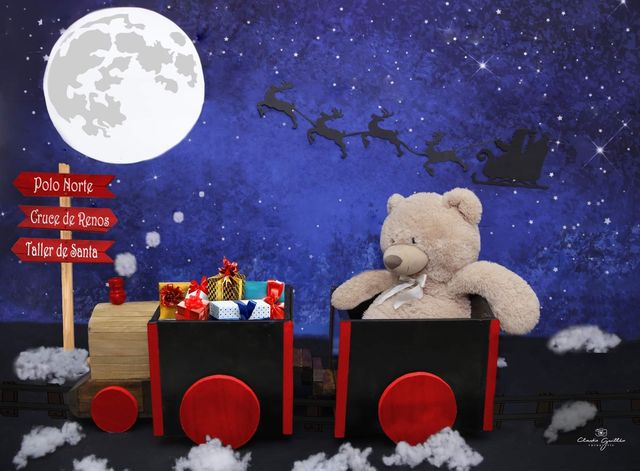 2 Fondos Fotografía navidad  Noche Estrellada Invi