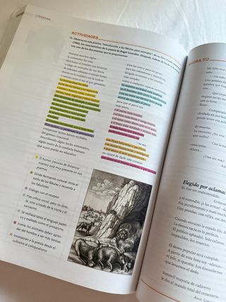 Libro Lengua