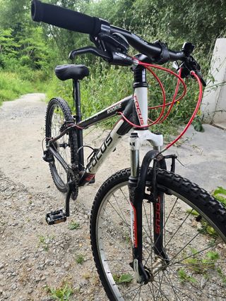 Bicicleta FOCUS 26