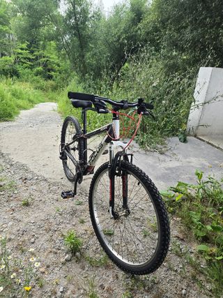 Bicicleta FOCUS 26