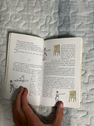 Libro El principito/le petit prince en francés