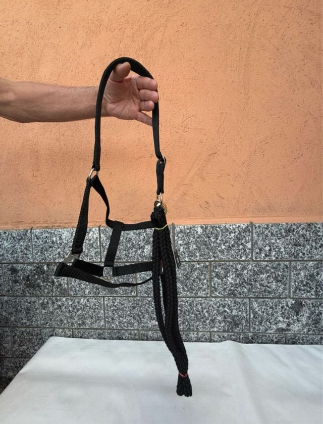 Capezza e Lunghina per Pony