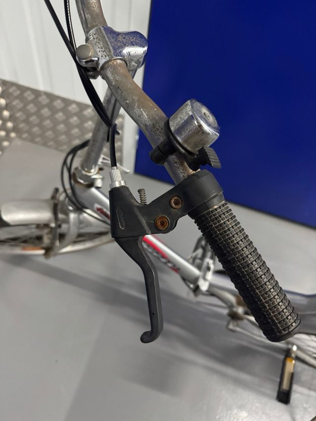 Bicicleta Injusa Urbana Plegable