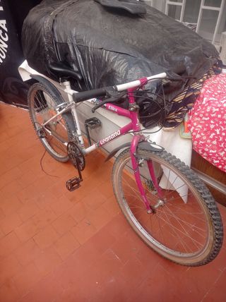 Bicicleta Ellen Leanan