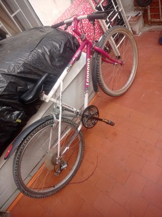 Bicicleta Ellen Leanan