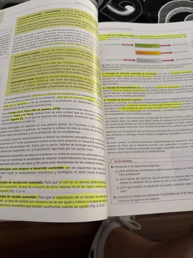 Ciencias de la Tierra y del Medioambiente 2.º B...