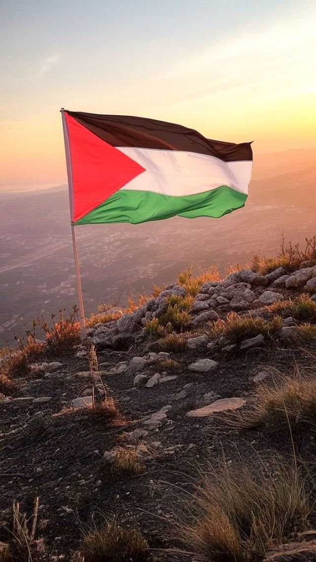 2 Banderas de Palestina