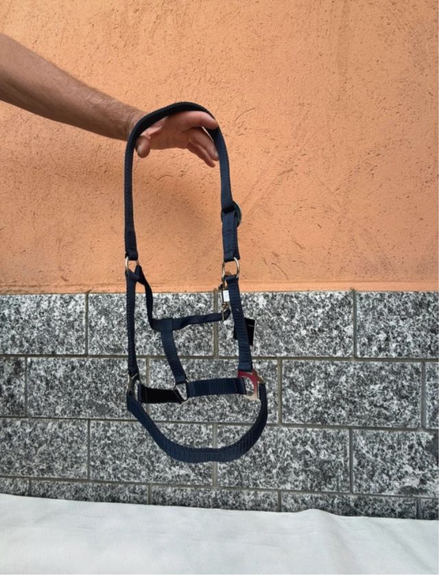 Capezza per pony blu