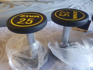 Mancuernas Ziva 2.5 kg (par)