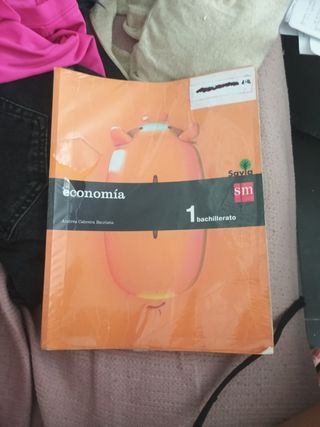 Economía. 1 Bachillerato. Savia (Spanish Edition)