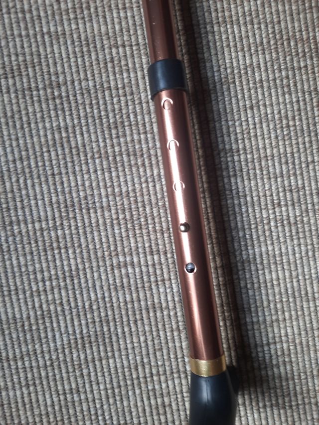 Bastones regulables para caminar