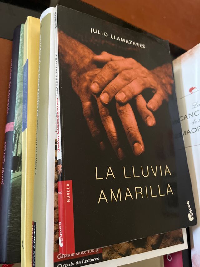 La lluvia amarilla
y otros tres libros más