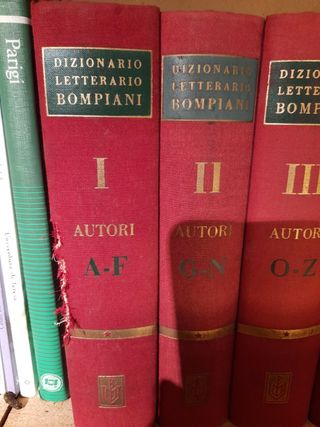 Dizionario letterario Bompiani delle opere 14 voll