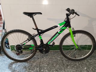 Bicicleta Infantil DENBIKE Verde
