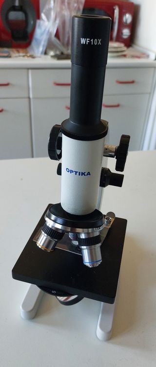 Microscopio Optika WF10X