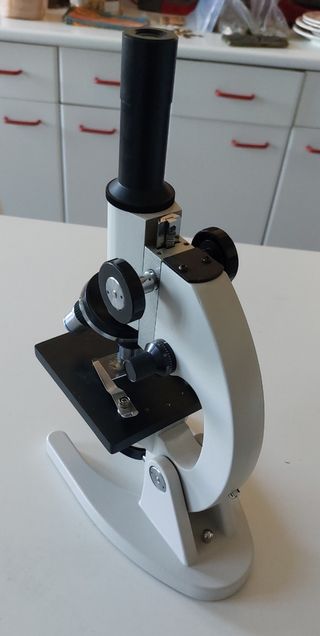 Microscopio Optika WF10X