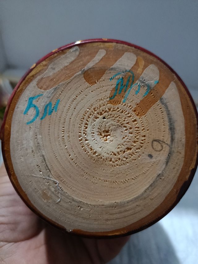 Muñecas Matrioshkas Nuevas