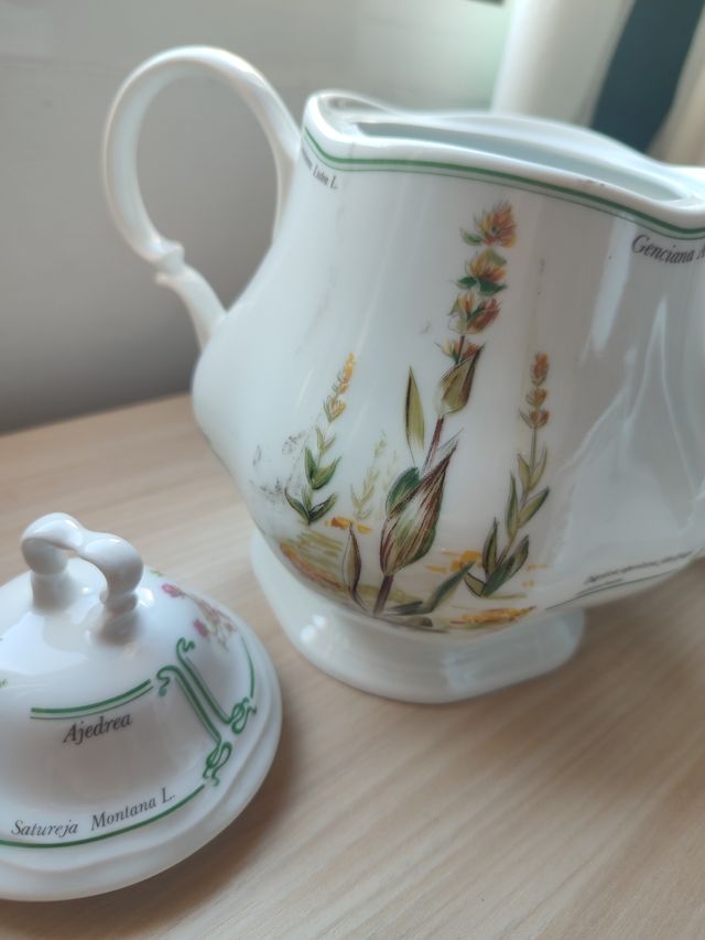 Juego té/café Porcelan IRABIA – colección plantas