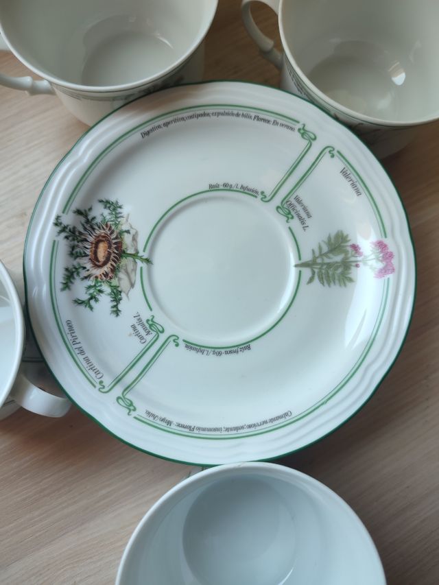 Juego té/café Porcelan IRABIA – colección plantas