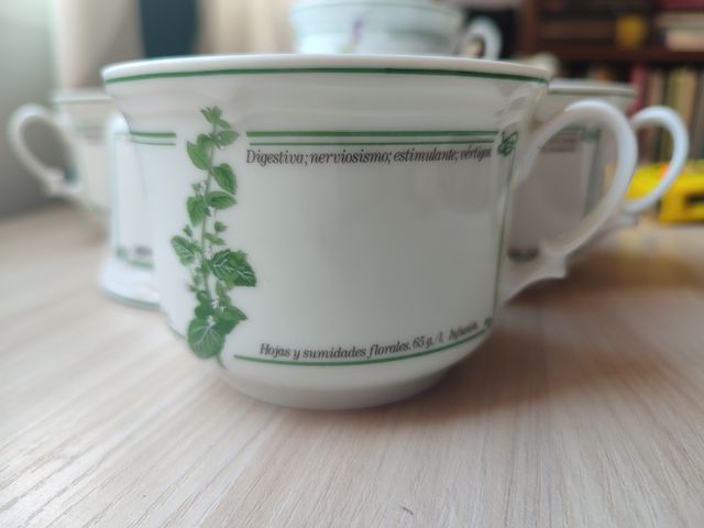 Juego té/café Porcelan IRABIA – colección plantas