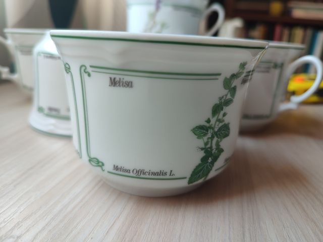 Juego té/café Porcelan IRABIA – colección plantas