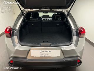 Lexus UX250 BUSINESS 2021 REF 1276