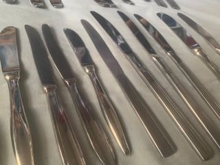 Confezione da 40 coltelli da pesce e da spalmare