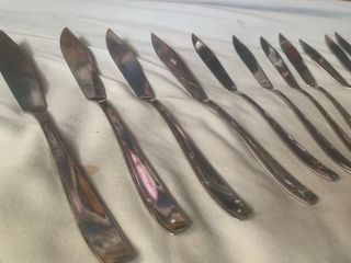 Confezione da 40 coltelli da pesce e da spalmare