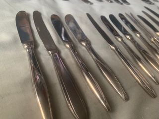 Confezione da 40 coltelli da pesce e da spalmare