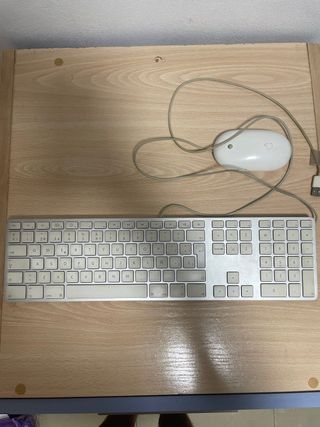 Teclado y Ratón Apple Vintage Blanco/Plateado