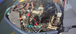 Motor fueraborda Evinrude 115cv