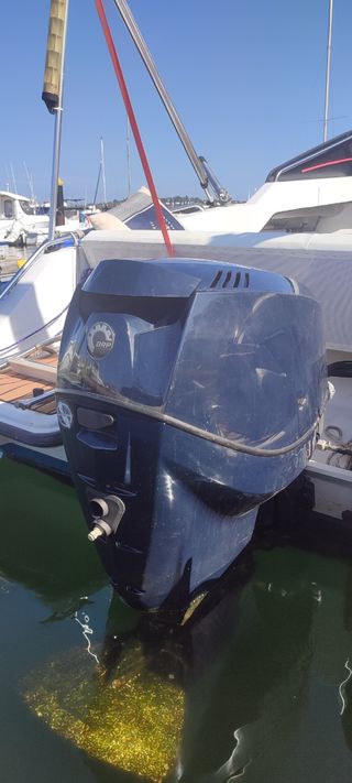 Motor fueraborda Evinrude 115cv