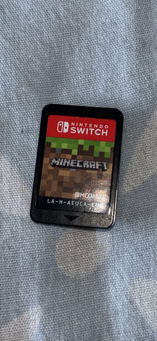 Minecraft Nintendo Switch