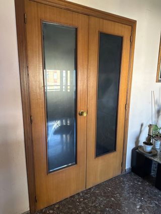 Puerta doble madera maciza con cristal