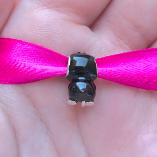 CHARM PINGUINO