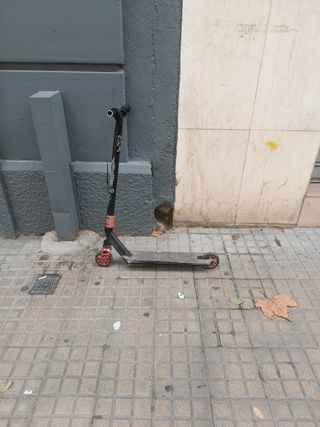 Patinete