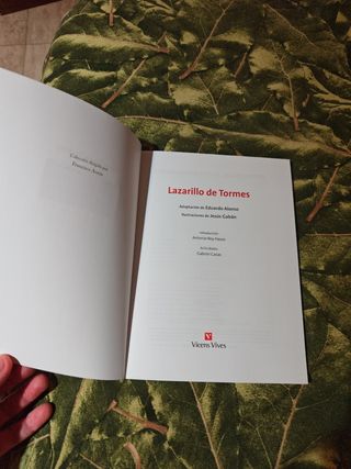 El Lazarillo De Tormes N/c (clasicos Adaptados)...