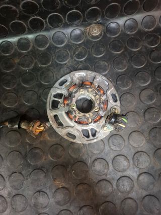 Bobina Estator cableado Kawasaki KX 250 2003