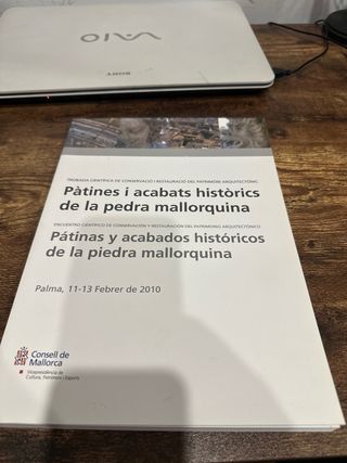 La pàtina de la descoberta a la protecció. El c...