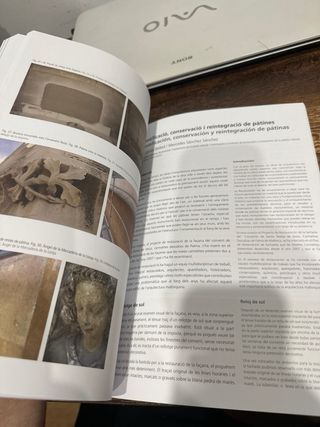 La pàtina de la descoberta a la protecció. El c...