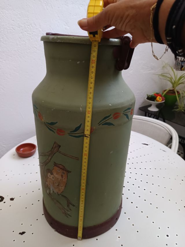 Lecgera verde con dibujo de búhos