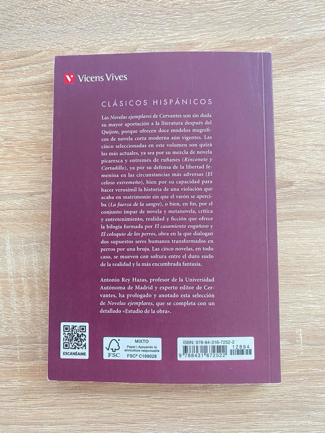 Novelas Ejemplares (Spanish Edition)