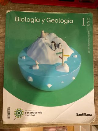 BIOLOGIA Y GEOLOGIA MADRID 1 ESO CONSTRUYENDO M...