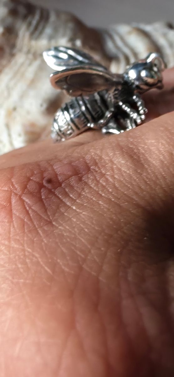 Anillo Avispa Plata Joya Autor